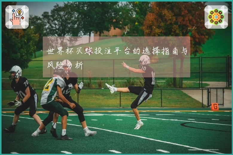 世界杯买球投注平台的选择指南与风险分析