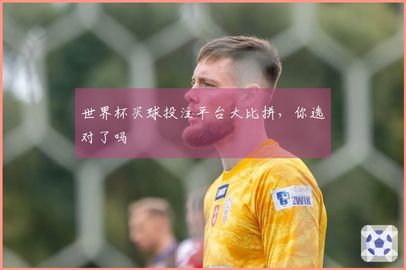世界杯买球投注平台大比拼，你选对了吗
