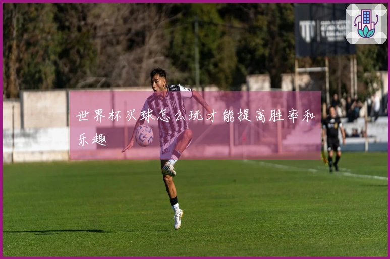 世界杯买球怎么玩才能提高胜率和乐趣