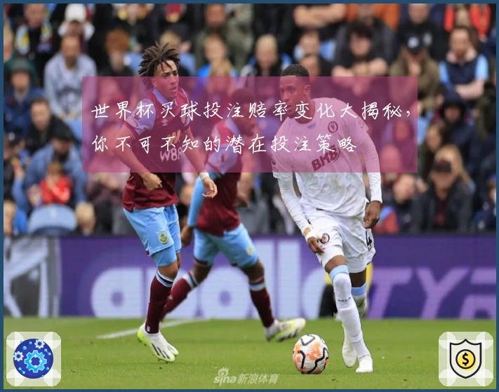 世界杯买球投注赔率变化大揭秘，你不可不知的潜在投注策略