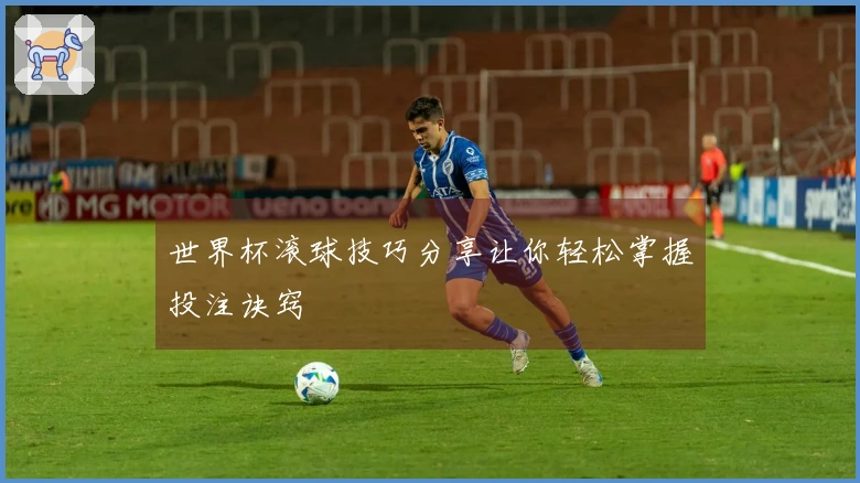 世界杯滚球技巧分享让你轻松掌握投注诀窍