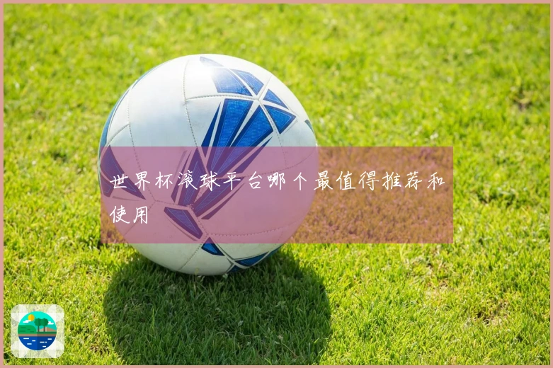 世界杯滚球平台哪个最值得推荐和使用