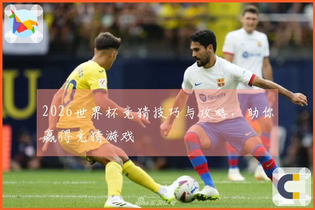 2026世界杯竞猜技巧与攻略，助你赢得竞猜游戏