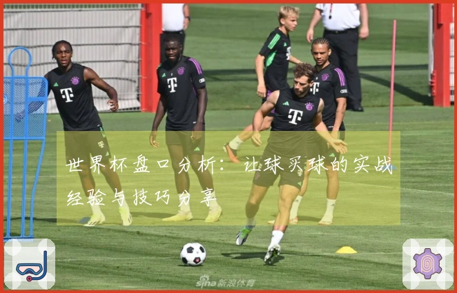 世界杯盘口分析：让球买球的实战经验与技巧分享