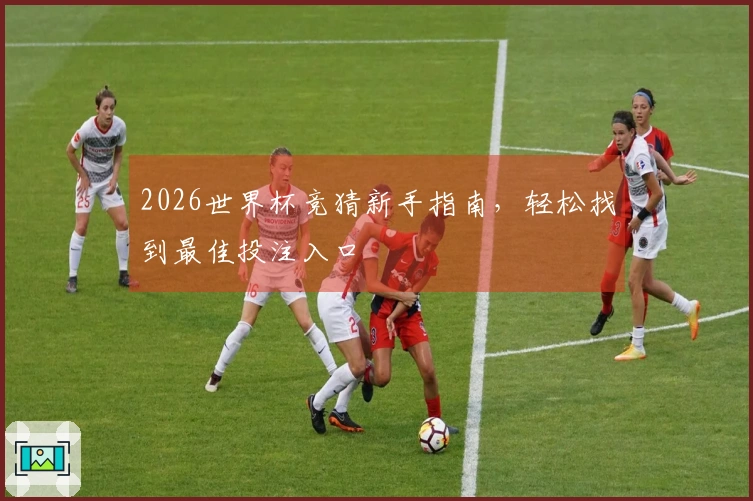 2026世界杯竞猜新手指南，轻松找到最佳投注入口