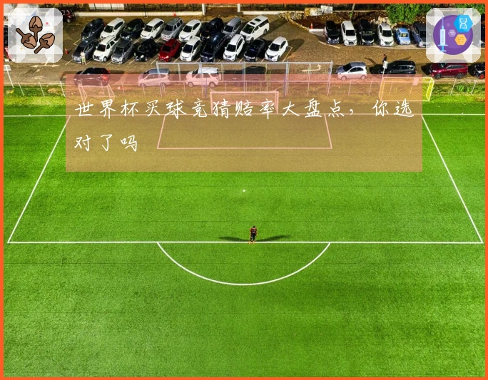 世界杯买球竞猜赔率大盘点，你选对了吗
