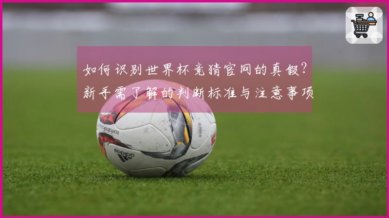 如何识别世界杯竞猜官网的真假？新手需了解的判断标准与注意事项