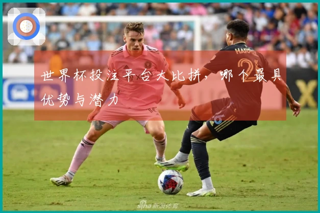 世界杯投注平台大比拼，哪个最具优势与潜力