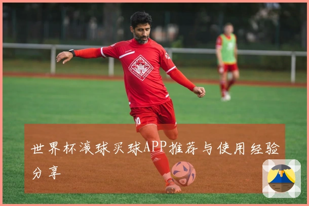 世界杯滚球买球APP推荐与使用经验分享