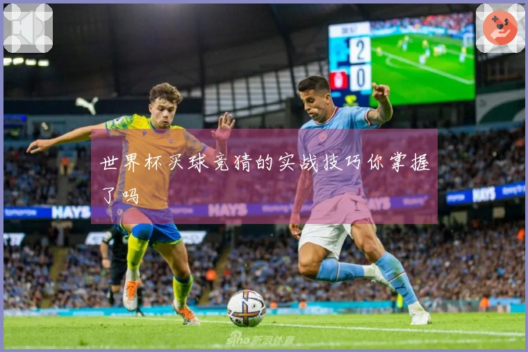 世界杯买球竞猜的实战技巧你掌握了吗