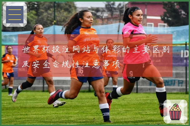 世界杯投注网站与体彩的主要区别及安全合规性注意事项